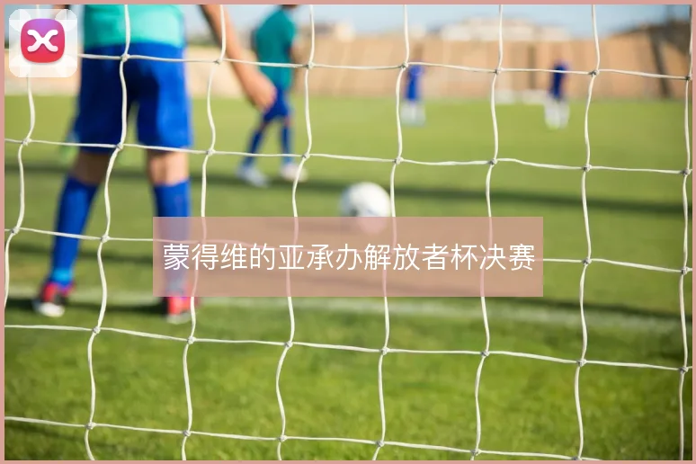 蒙得维的亚承办解放者杯决赛
